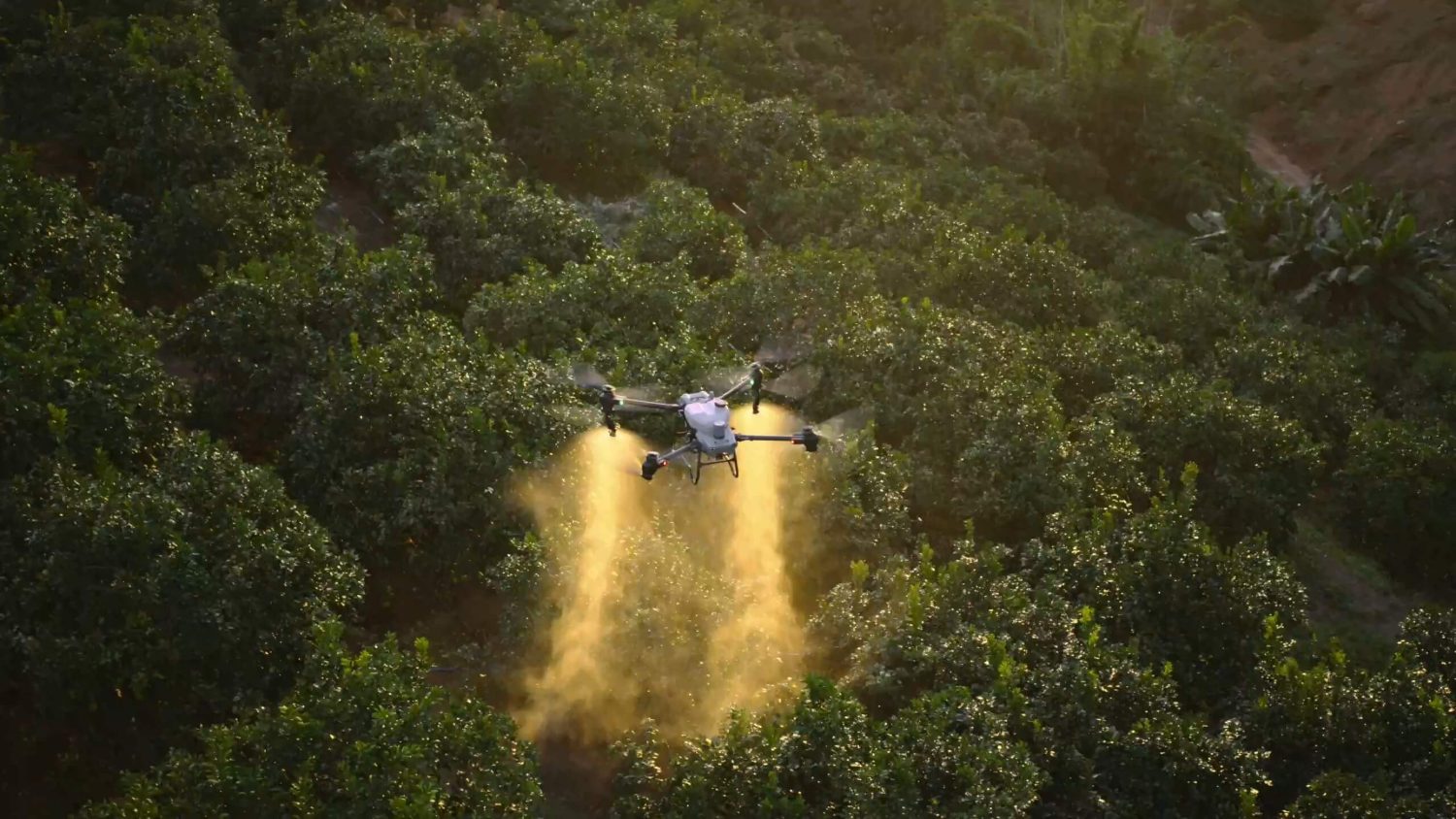 Recuperação ambiental