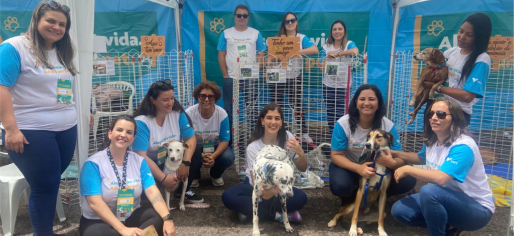 Evento incentiva adoção de cães e gatos