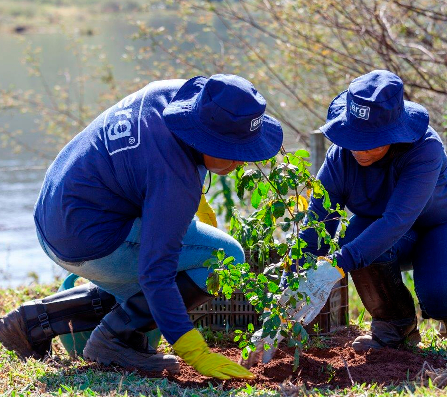 restauro-florestal-ergbh